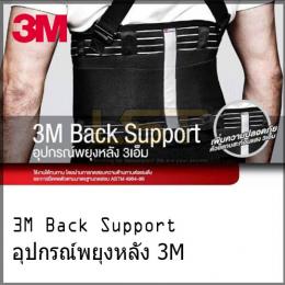 3M Back Support
