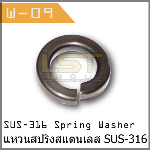 Spring Washer Stainless SUS-316